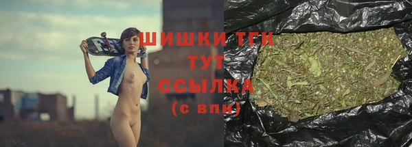 ГАЛЛЮЦИНОГЕННЫЕ ГРИБЫ Бородино