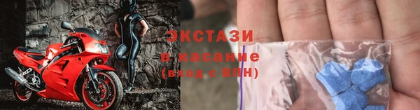 ГАЛЛЮЦИНОГЕННЫЕ ГРИБЫ Бородино