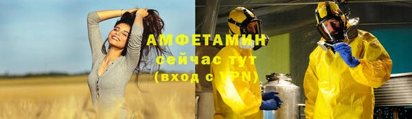 spice Богородицк