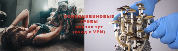 ГАЛЛЮЦИНОГЕННЫЕ ГРИБЫ Бородино