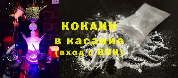 ГАЛЛЮЦИНОГЕННЫЕ ГРИБЫ Бородино