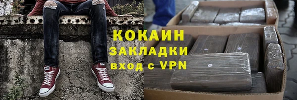 spice Богородицк