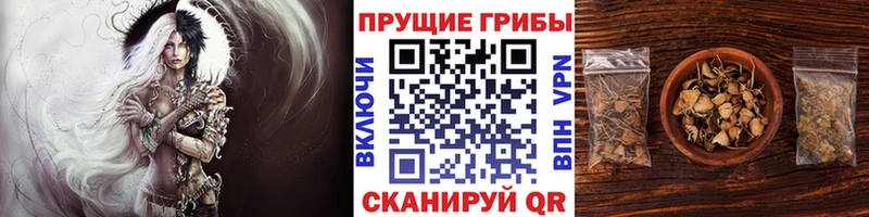 что такое наркотик  Армавир  blacksprut ссылки  Галлюциногенные грибы Cubensis 